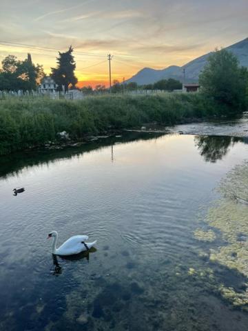 Smjestaj Dada Trebinje Exterior foto